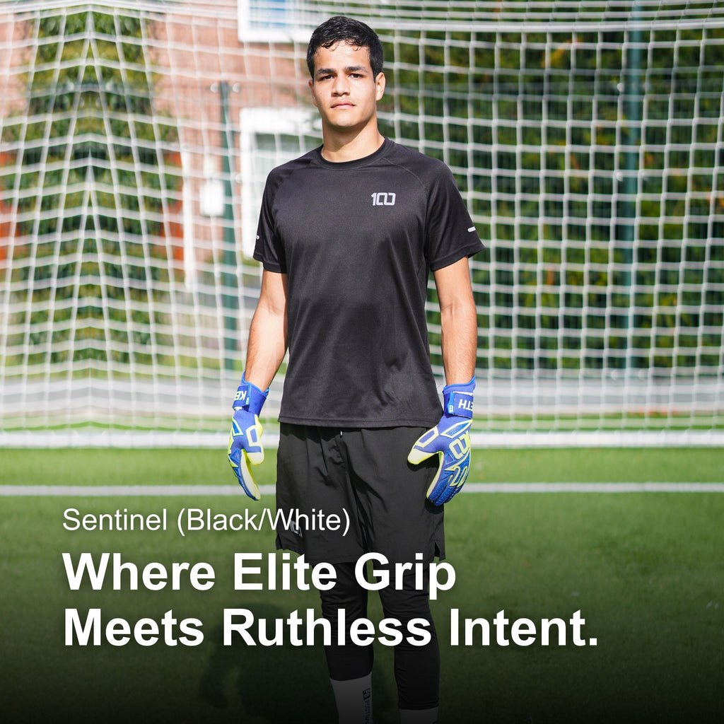 Sentinel (Blue/Yellow)