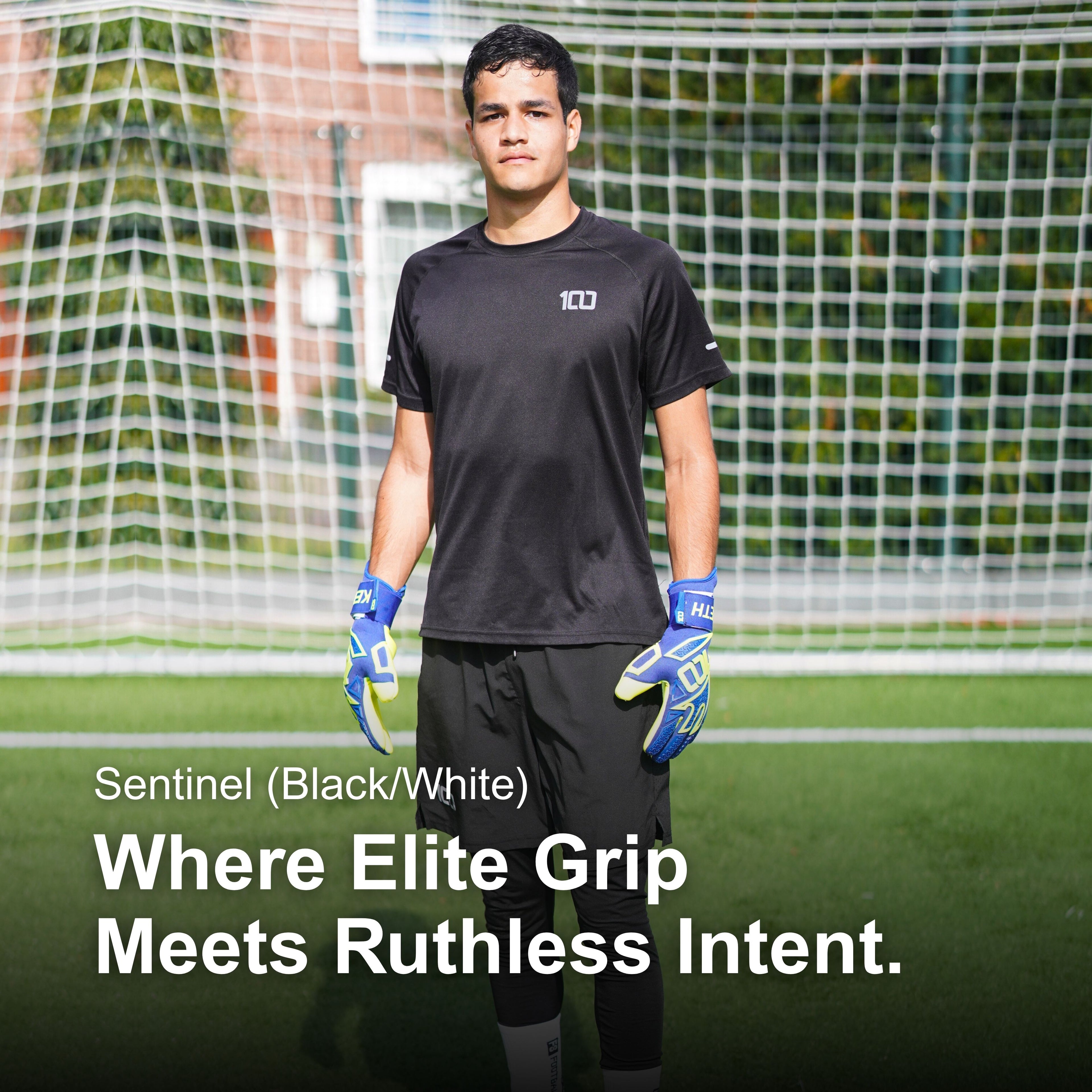 Sentinel (Blue/Yellow)