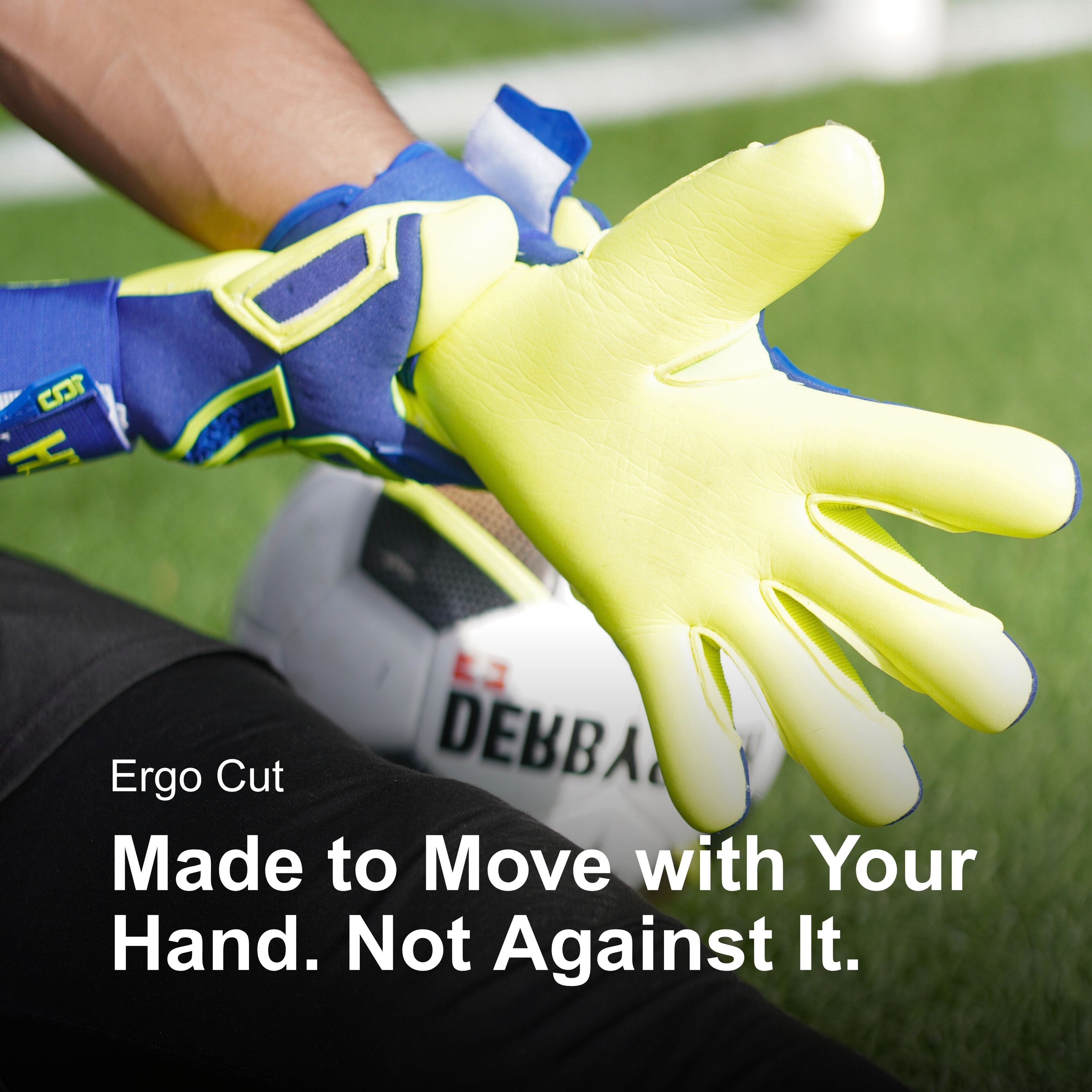 Sentinel (Blue/Yellow)