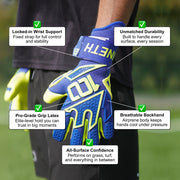 Sentinel (Blue/Yellow)