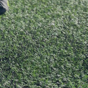 Vanguard (Black/Yellow)