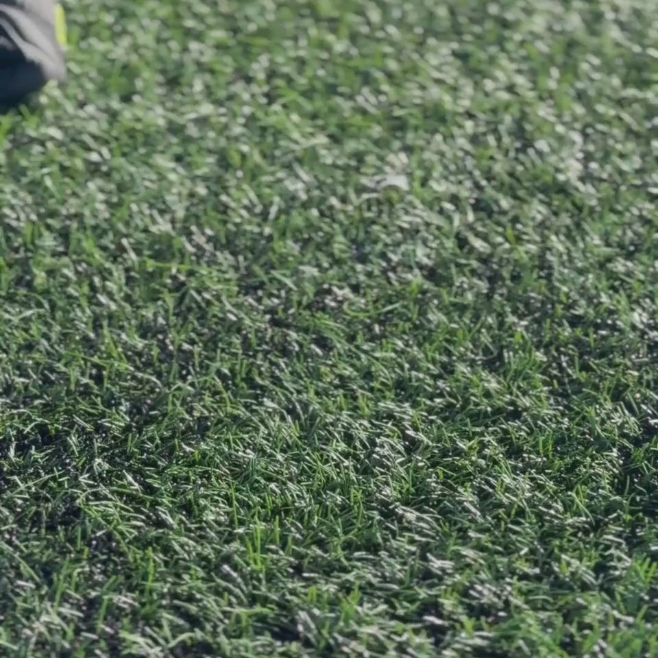 Vanguard (Black/Yellow)