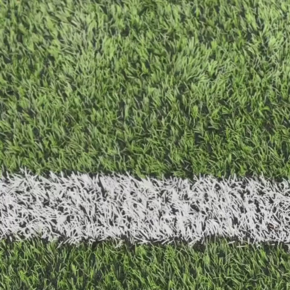 Vanguard (Black/Pink)