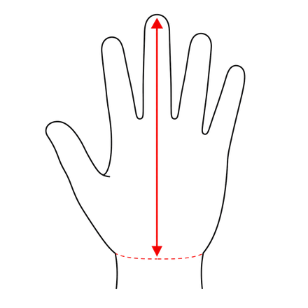 Diagram of a hand showing length measured from the wrist crease to the tip of the middle finger